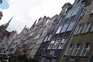 IMGP0961