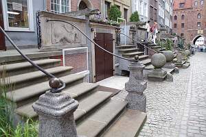 IMGP0962