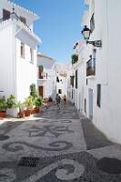IMGP1809