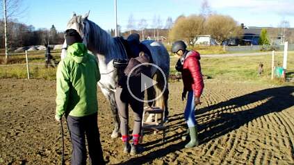 IMGP2015 null