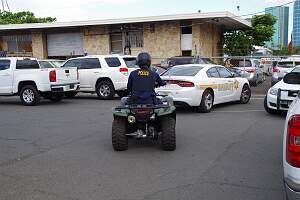 IMGP2594
