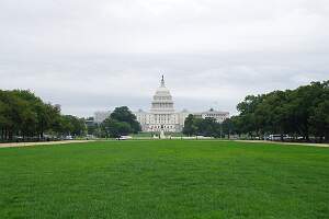 IMGP5453