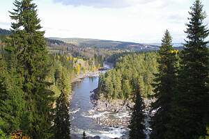 IMGP6171