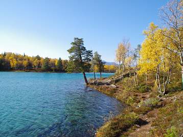 Blanktjärn