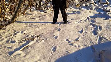 20190119_135237