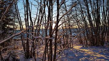 20190119_142907