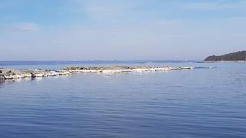 20190422_104332