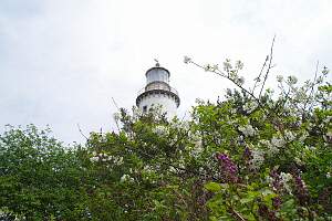 IMGP7953