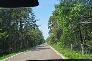 IMGP8091