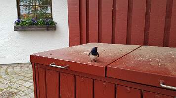 20190524_160009