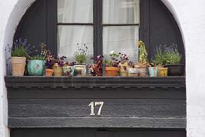 IMGP8215