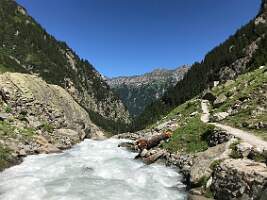 IMG_7510
