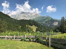 IMG_E7926