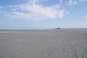 IMGP9539