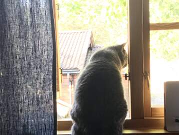 Sommar 2019