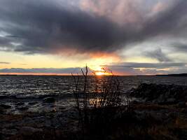 IMG_9393
