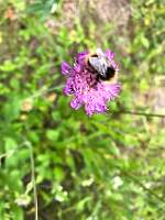 IMG_0197