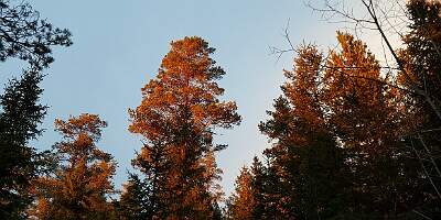 20201106_151250