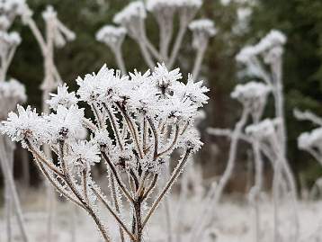 Vinter 2020 2