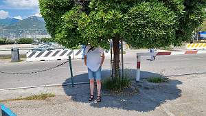 20230530_113342
