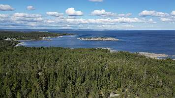 dji_fly_20230623_150444_290_1687541287925_photo 0.9.142
