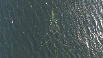 dji_fly_20230623_190026_298_1687541286264_photo 0.9.142