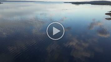 dji_fly_20230708_212110_318_1688844685677_video