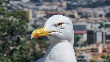 20240525_115752