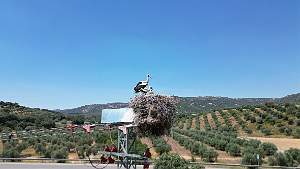 20240529_152503 - DJI_0527 0.9.142