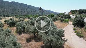 20240529_1823DJI_0524