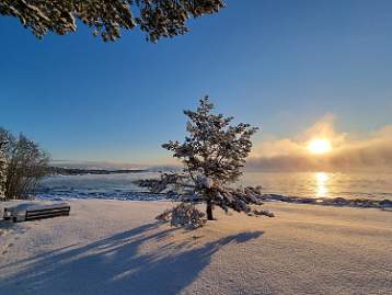 240224 Vinter