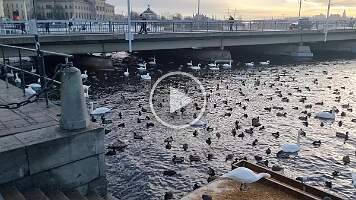 20250118_102648