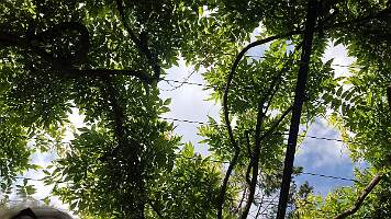 20250526_084000