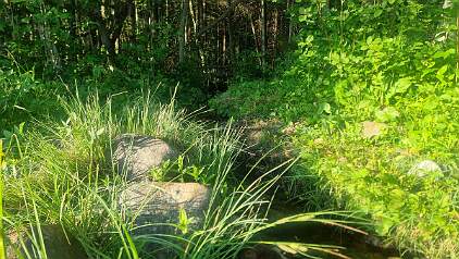 20250626_194631 null