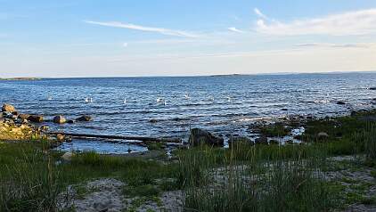 20250626_194921 null