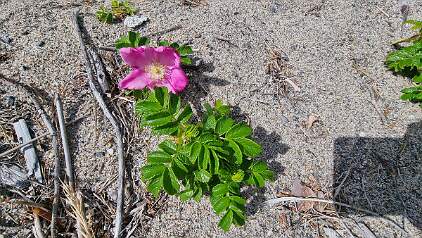 20250629_154137 null