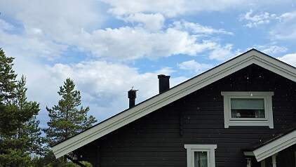 20250629_160849 null