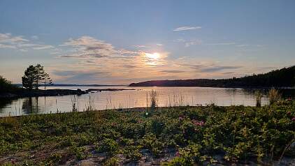 20250704_204446 null