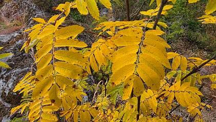 20250726_102156 null