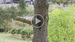 20250914_093040 null