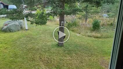 20250914_094409 null