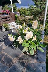 20250919_144344 null