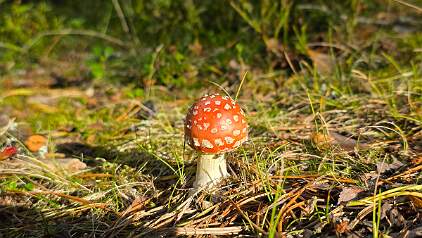 20250919_162244 null