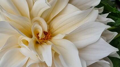 20250920_151351 null