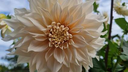 20250920_151412 null
