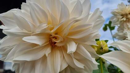 20250920_151430 null