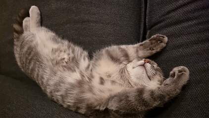 20250920_224008 null