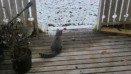 20251110_081433 null