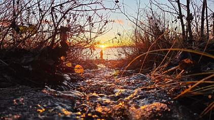 20251114_145537 null