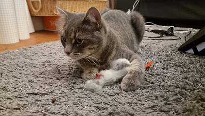 20251114_175220 null